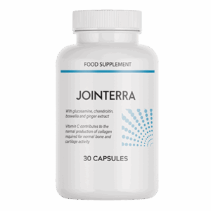 Jointerra